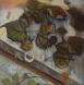 Leaves in Studio